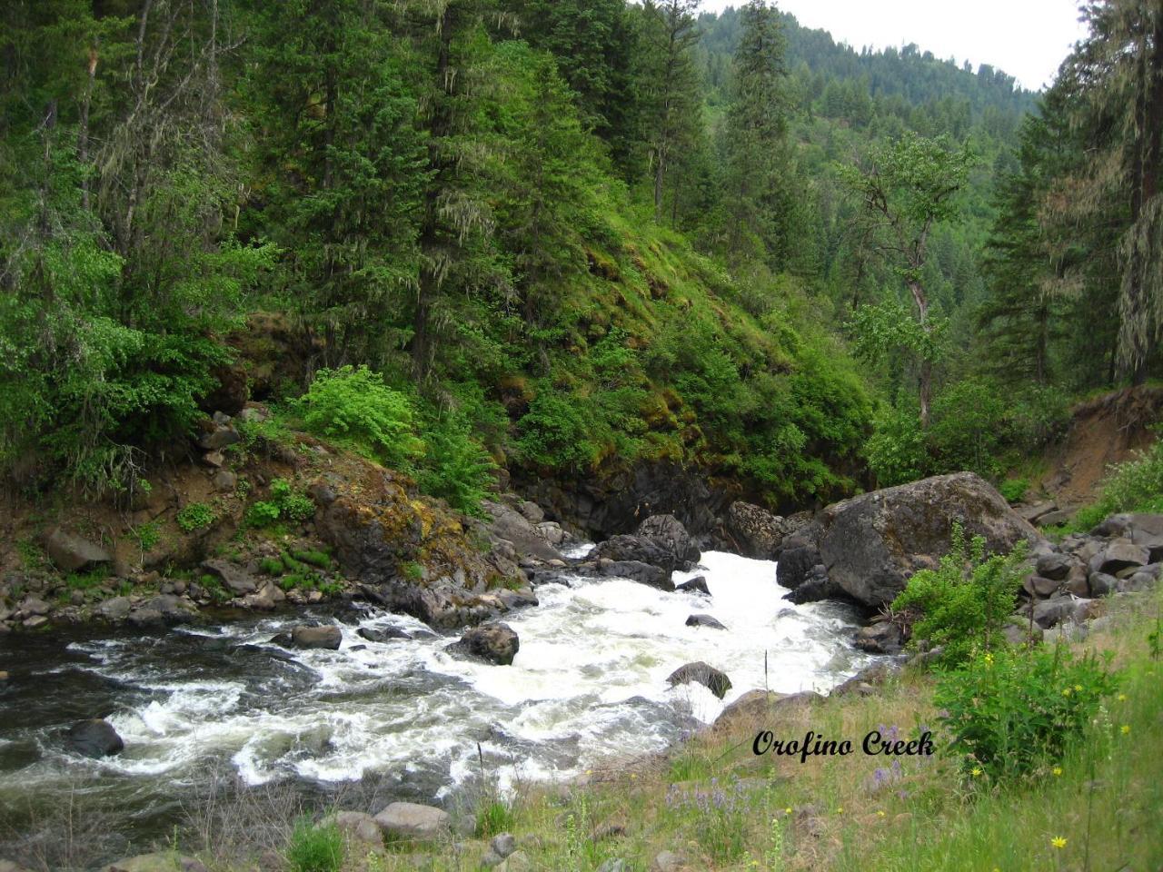 Konkolville Motel Orofino Екстериор снимка